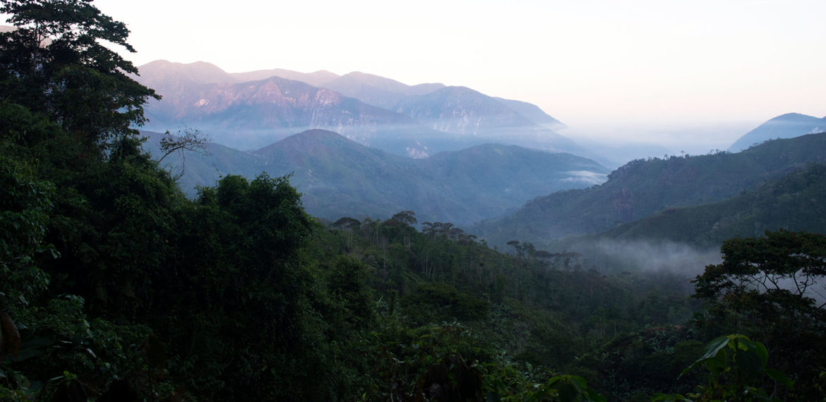 Sierra Nevada Mountain View