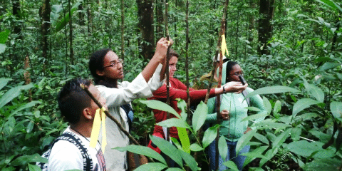 In-het-bos-zanderij-1