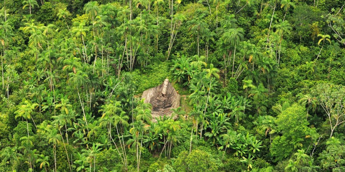 Captured image of a home of indigenous people in voluntary isolation - Colombian Amazon