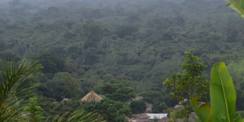 Tukusipan-in-het-dorp-Kwamalasamu-in-Amazonewoud-van-Suriname-700x350